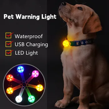 Ошейник для домашних собак, светодиодная люминесцентная подвеска, Водонепроницаемая USB-зарядка, ошейник для защиты от потери в ночное время, аксессуары для собак, товары для домашних животных